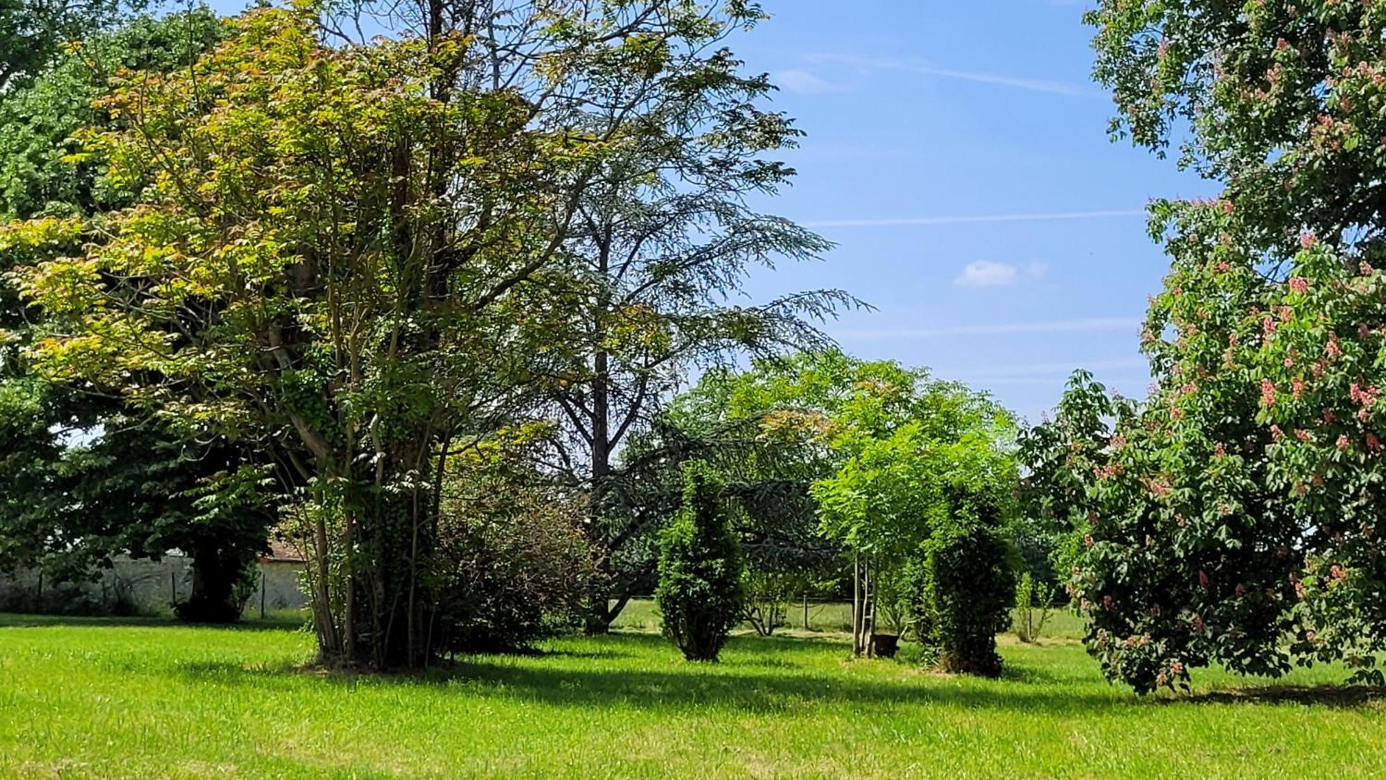 Villa Saint Pierre La Trimouille ภายนอก รูปภาพ