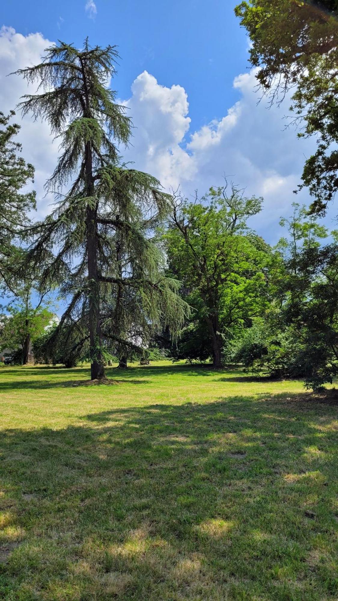 Villa Saint Pierre La Trimouille ภายนอก รูปภาพ